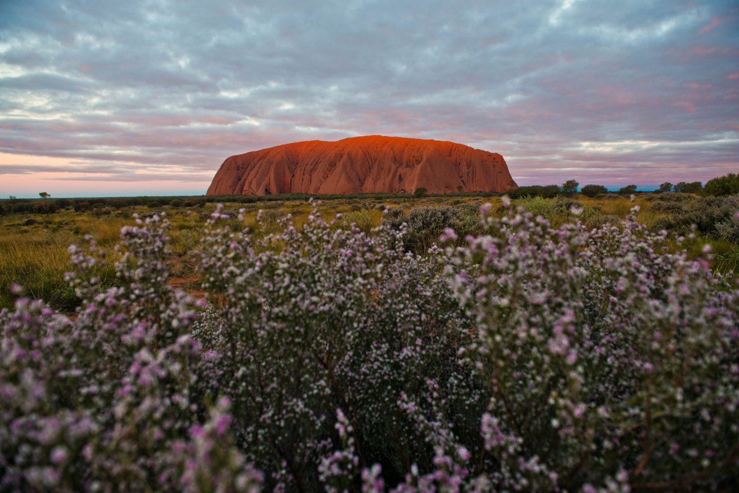 uluru is a sacred site in australia