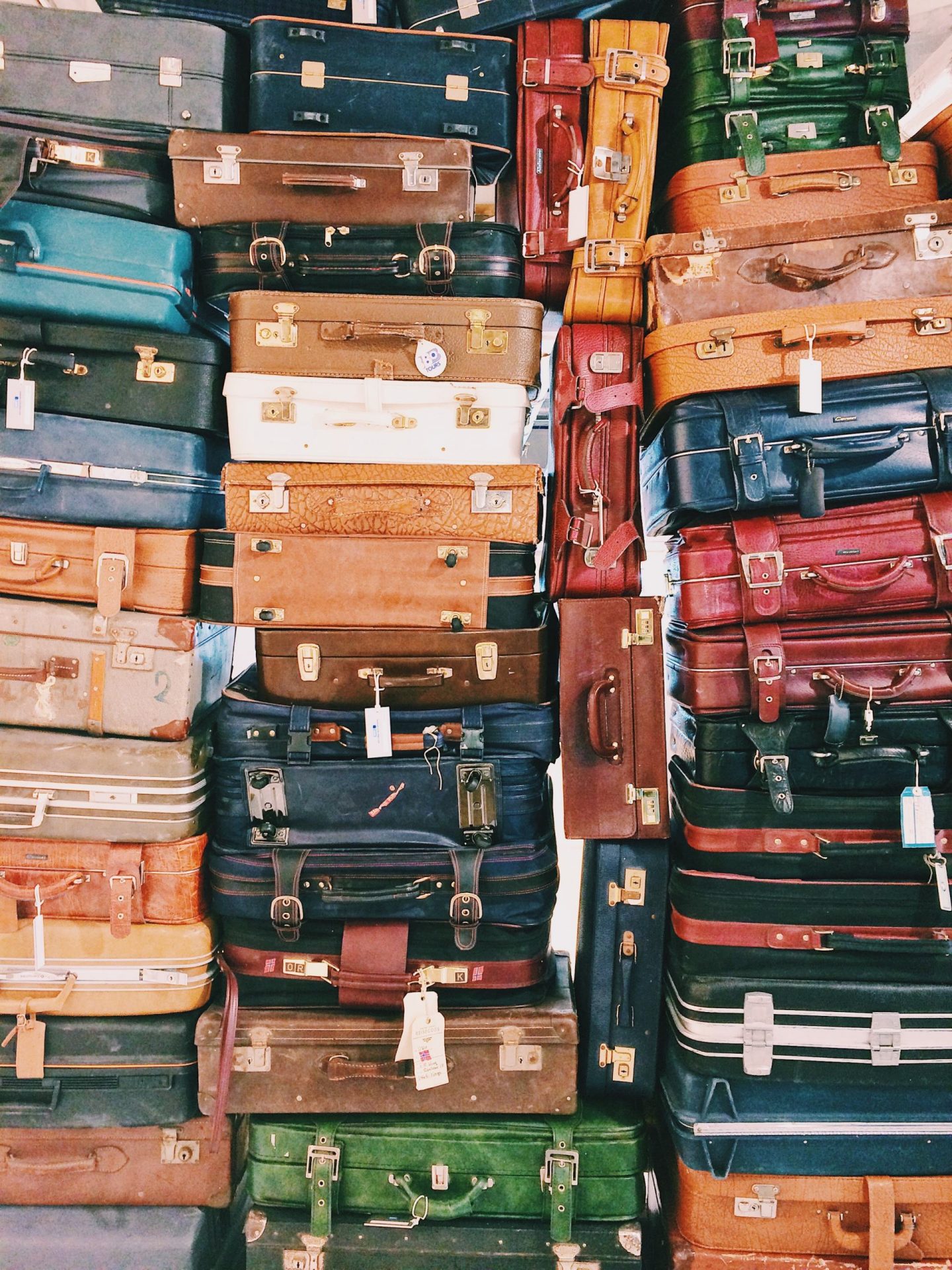 sustainability tips to save money