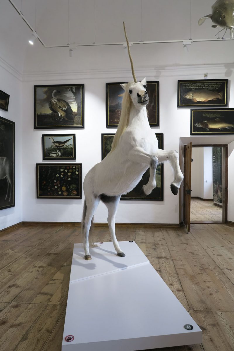 Unicorn from inside Hellbrunn Palace