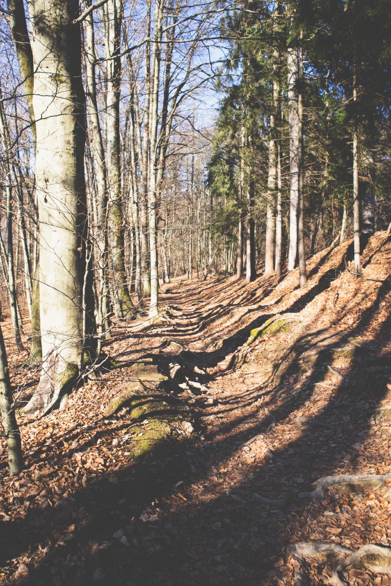 smarna gora