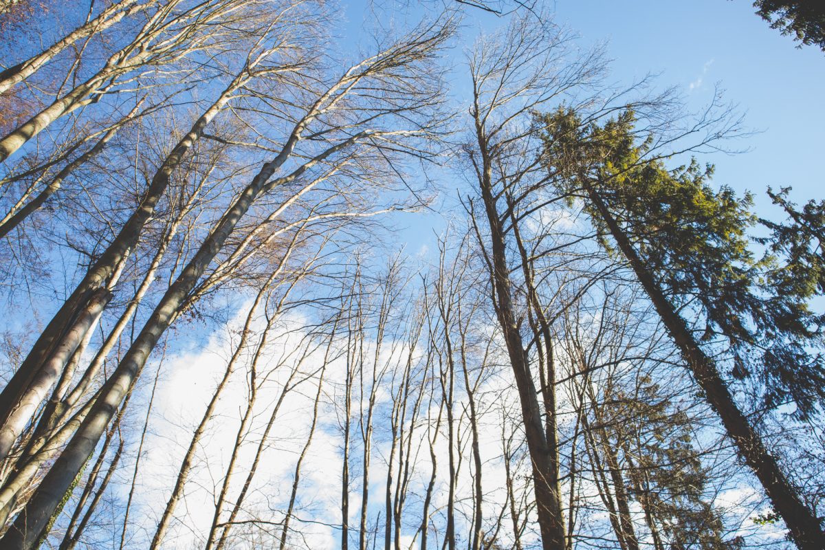 hikes near Ljubljana 
