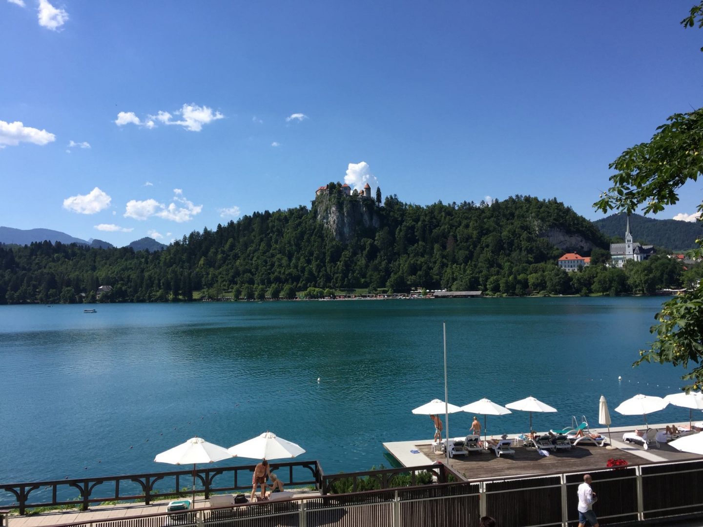 swimming in Lake Bled