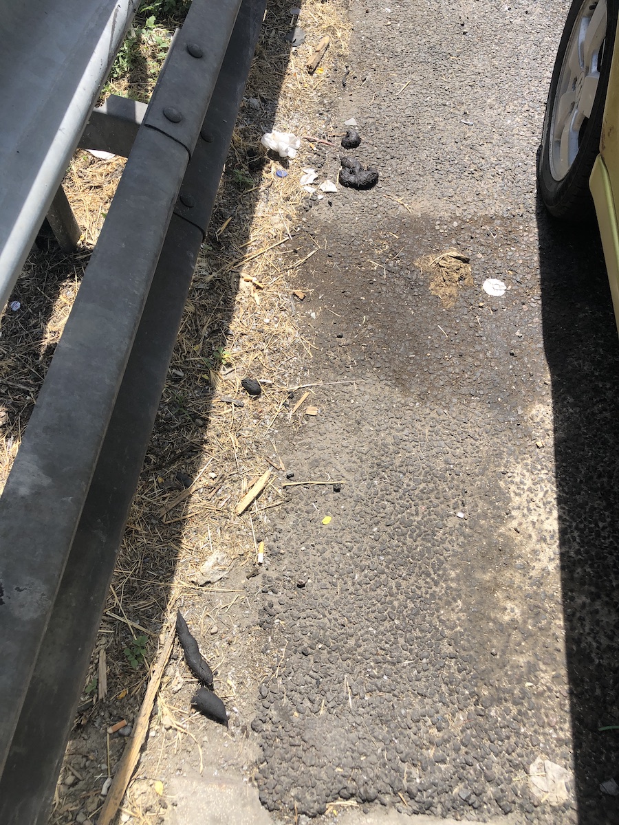 Two piles of poop on the road