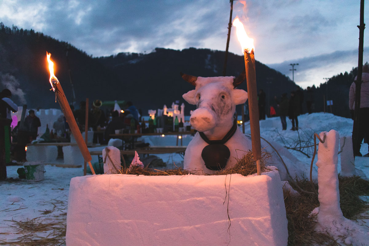 snow cow