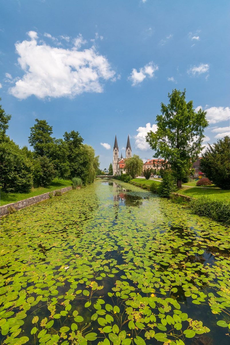 Kocevje, things to do in dolenjska