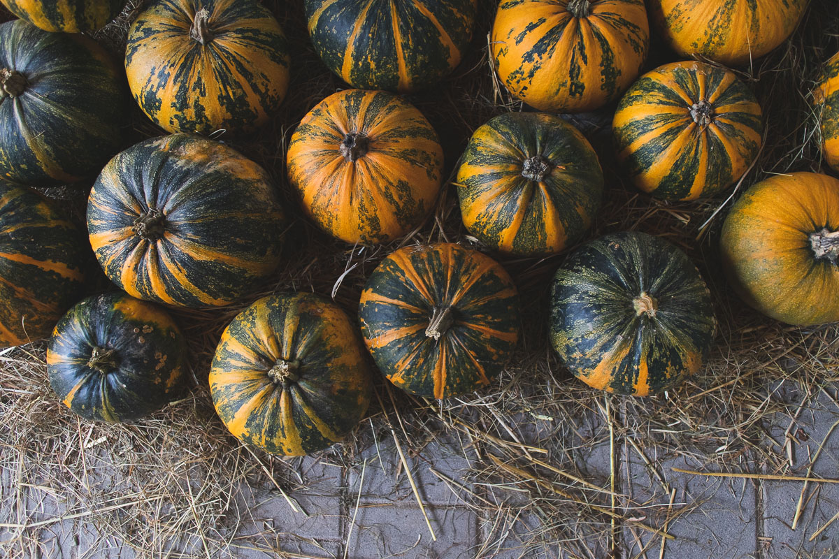 slovenian halloween