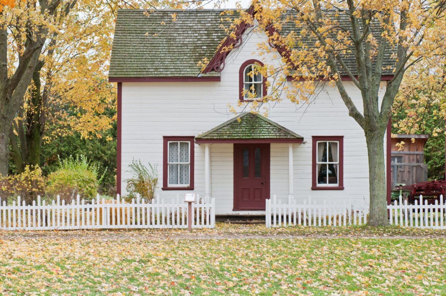 plant trees around house to reduce energy cost