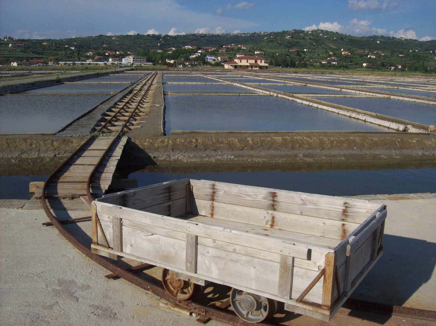 Secovlje Salt