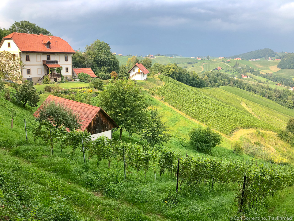 South Styria wine road