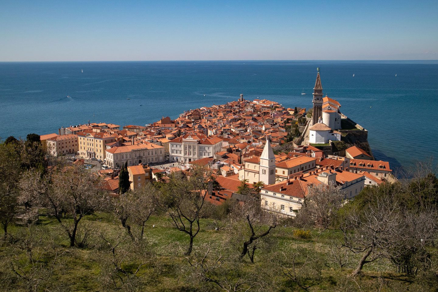 view of piran slovenia