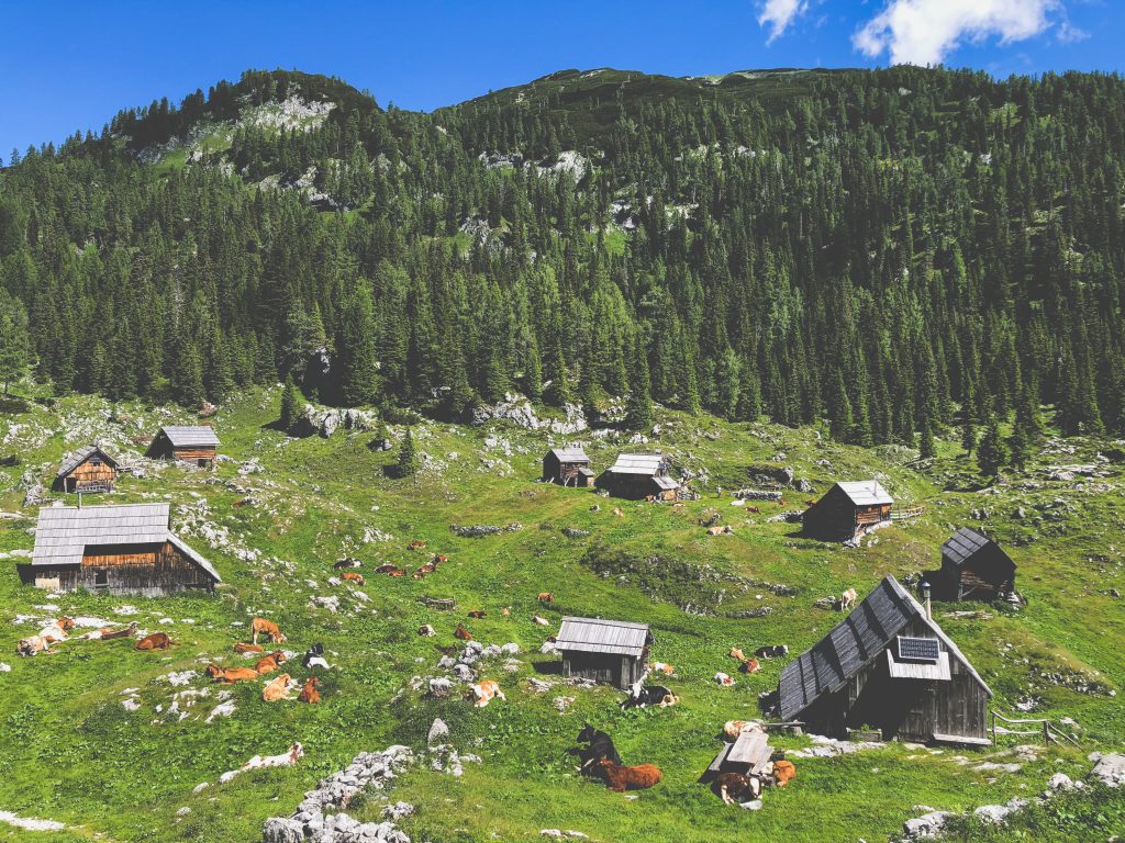 Triglav National Park
