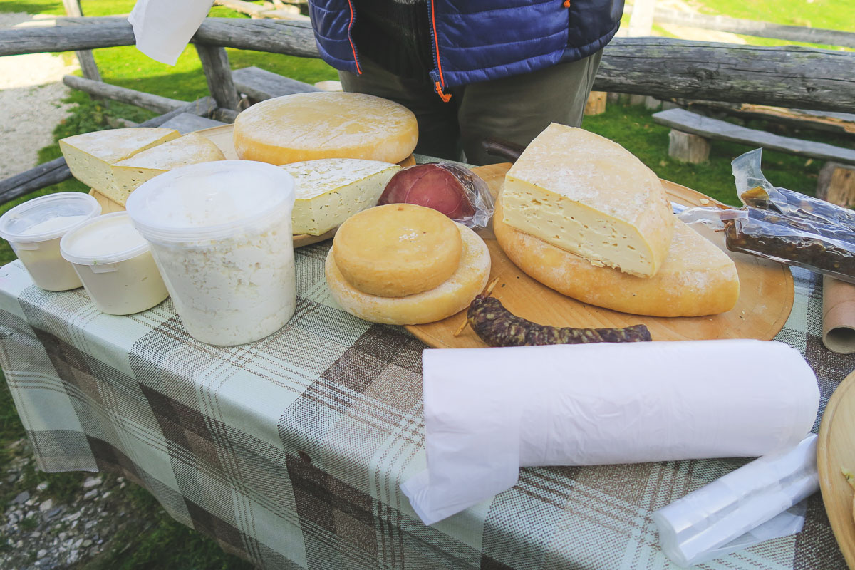 Alpine cheeses Slovenia