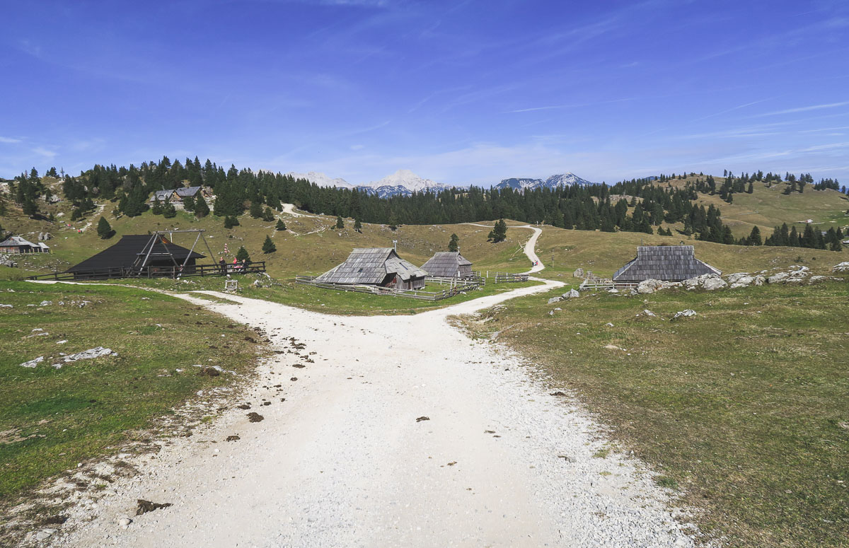 velika planina