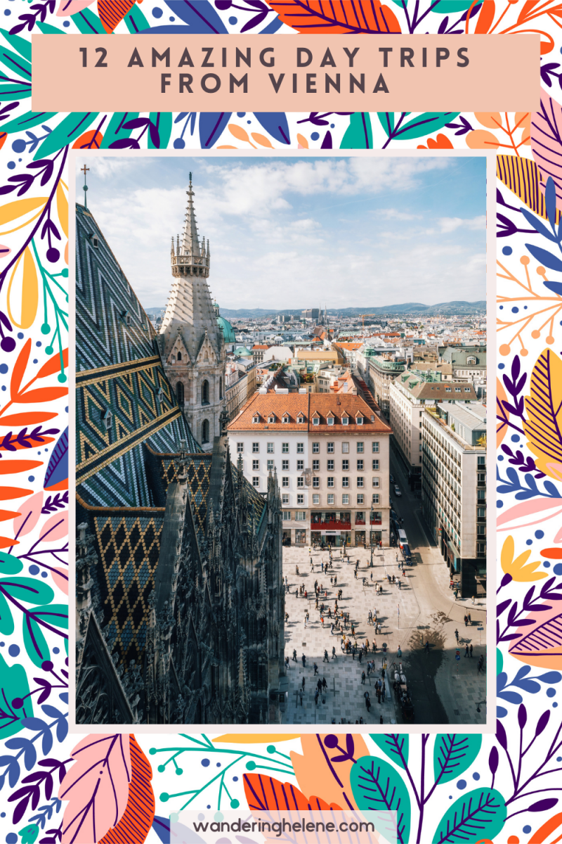 image of vienna for a pinterst pin