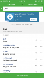pons language dictionary