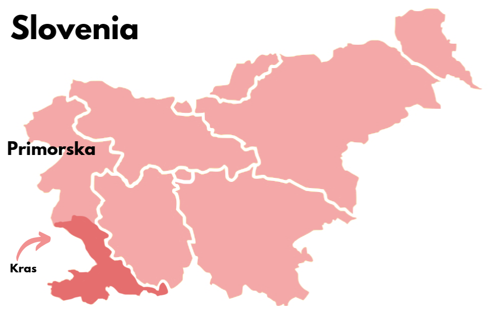 Map of Slovenia with regions marked, highlighting where Kras is located