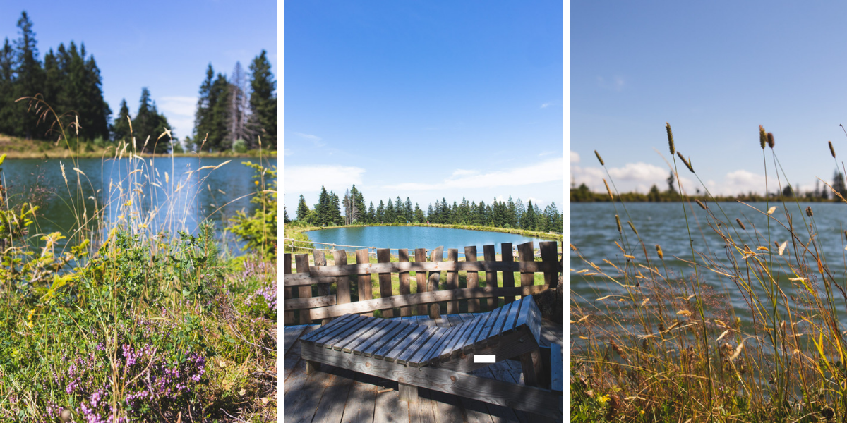 Rooster's Lake at Kope