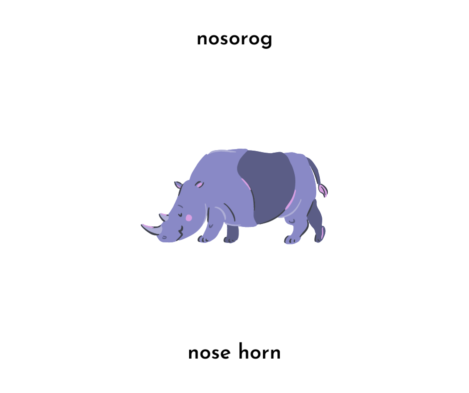 image of rhino and the words nosorog and nose horn