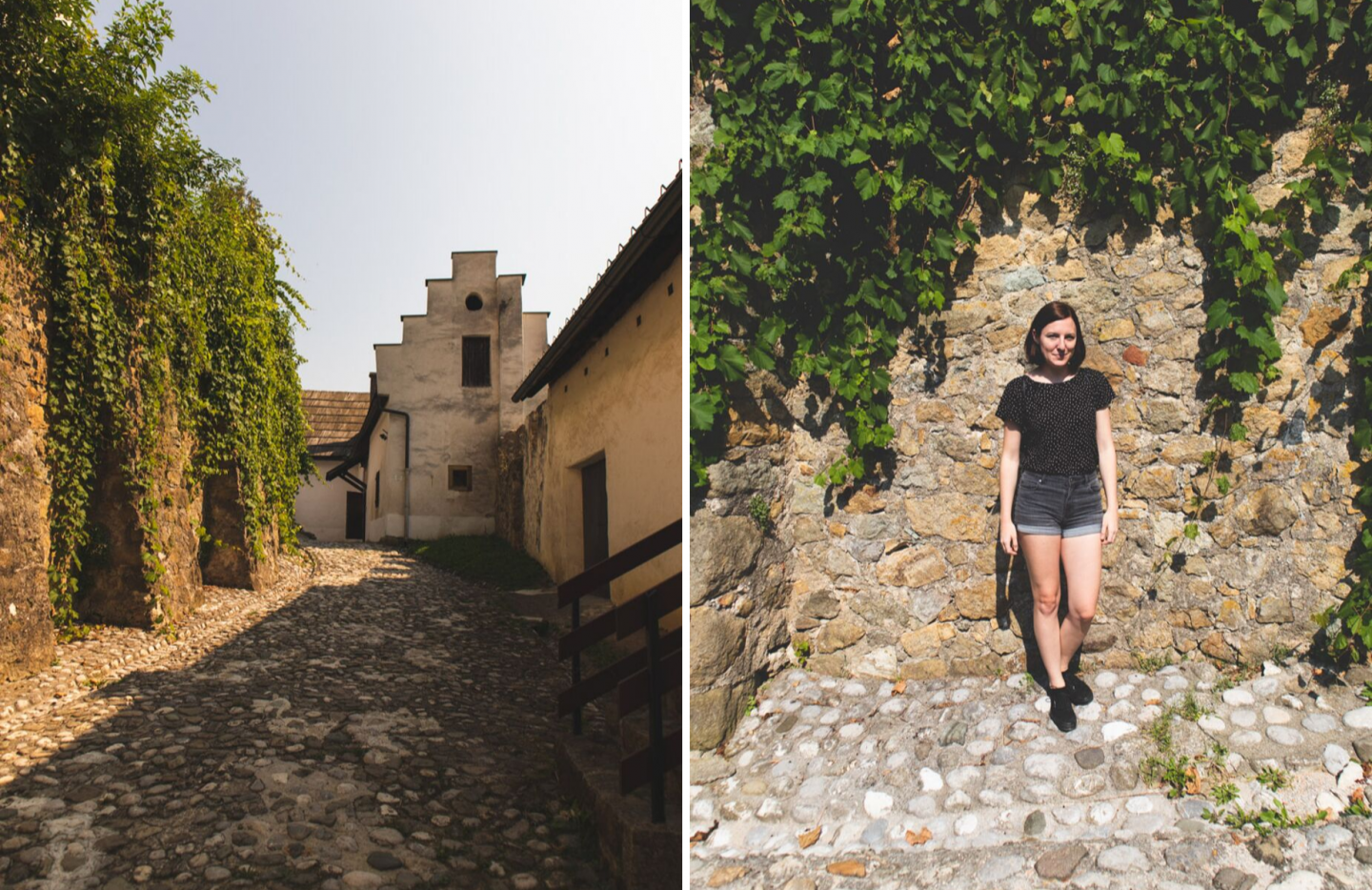 Velenje Castle grounds
