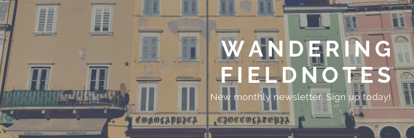 wandering fieldnotes