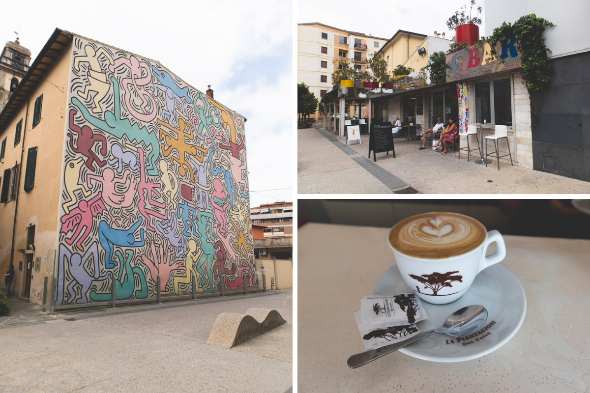 what to do in pisa